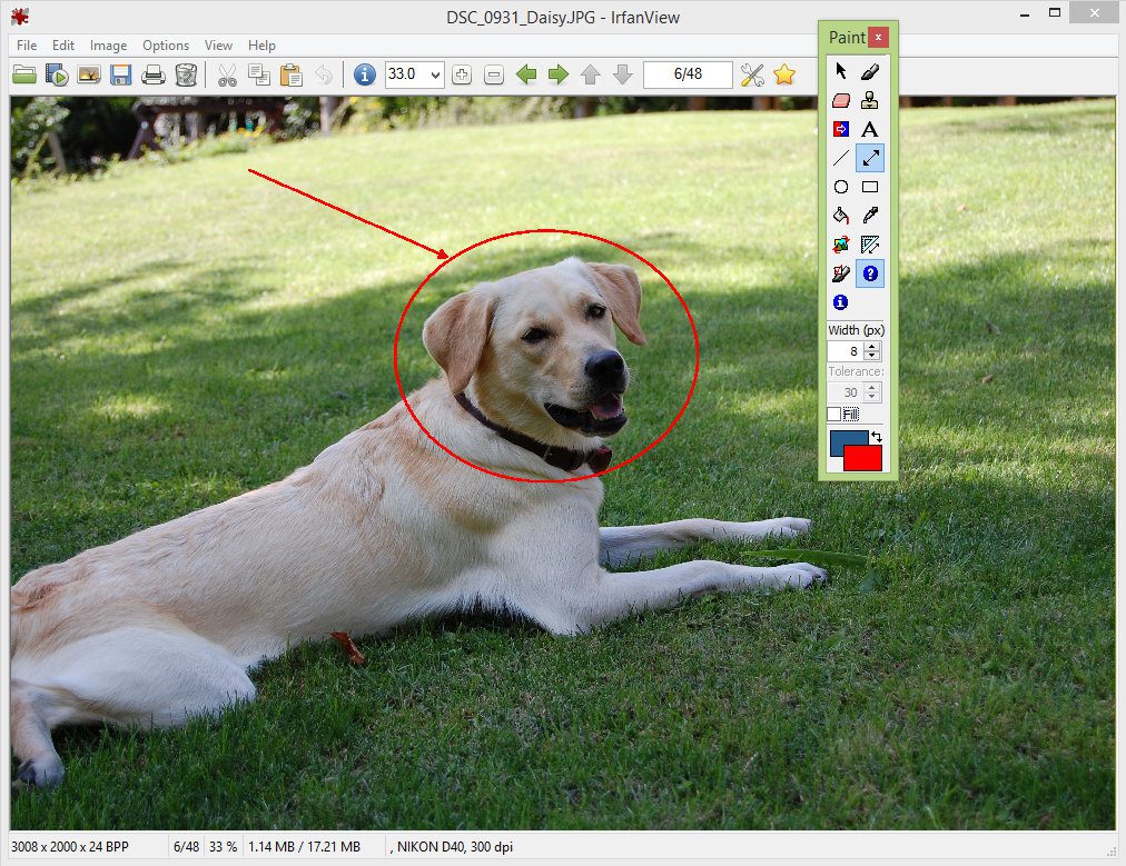 Irfanview Download For Windows Free Download Irfanview Download For Pc