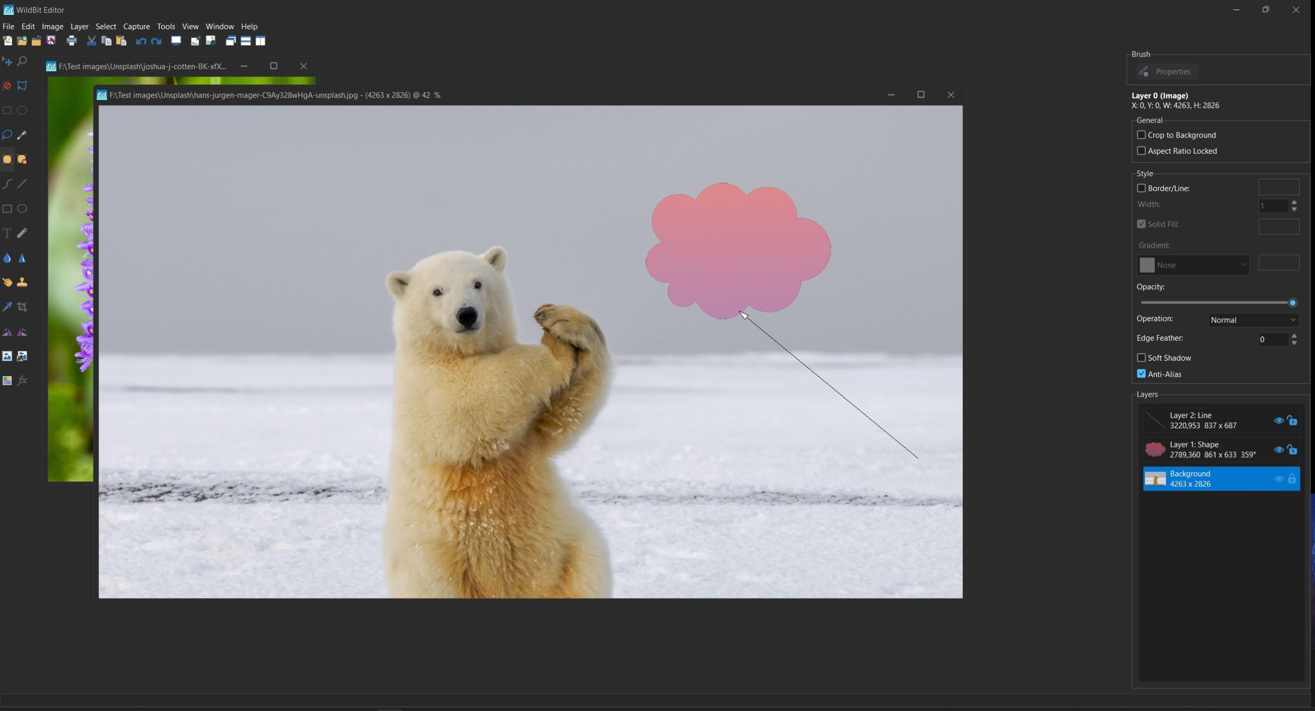 WildBit Viewer For Windows Free Download 6.9 Best Extensive & Fast Image Viewer Software WildBit Viewer and Slidshow maker software