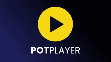 Download PotPlayer Pro Full Version