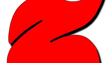 A red, abstract shape resembling a stylized 'Z' with curving, flowing lines. It has a smooth, glossy appearance and is set against a white background. Slightly tilted and casting a subtle shadow for a 3D effect, this design could easily complement the sleek interface of Zortam Mp3 Media Studio.