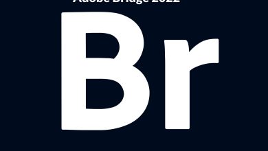 Download Adobe Bridge 2022 Full Version for Windows