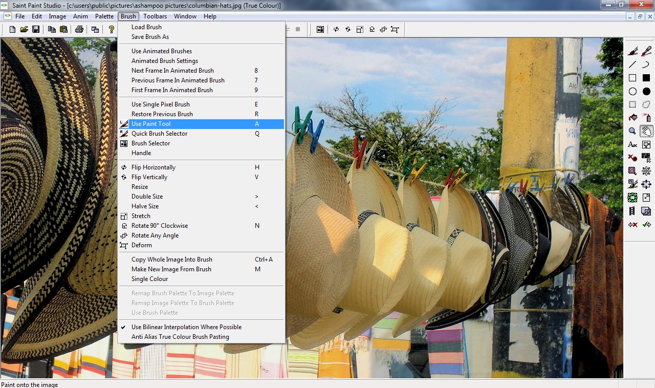 Download Saint Paint Studio Free for Windows