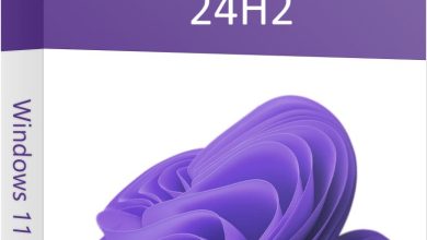 Download Windows 11 Enterprise 24H2 Full Version