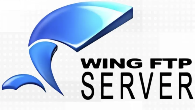Download Wing FTP Server Corporate Full Version
