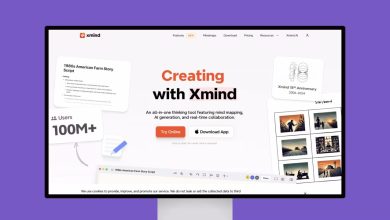 XMind Pro 2025 Full Version for Windows 11