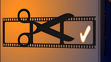 Download Easy Video Logo Remover Software Full Version