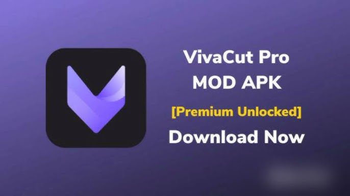 Professional video editing software VivaCut Pro interface with various editing tools and effects.