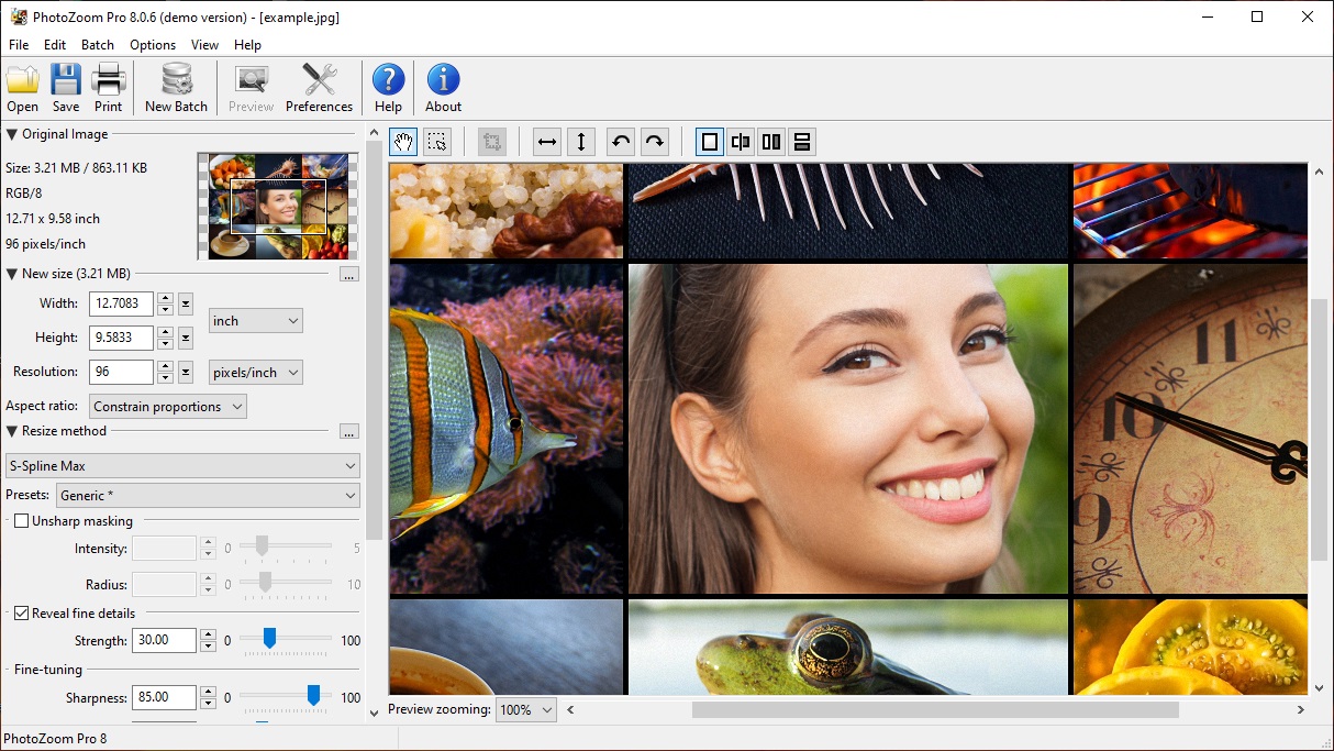 Benvista PhotoZoom Pro Classic Free Download