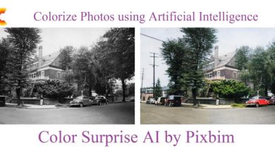 Download Pixbim ColorSurprise AI Software