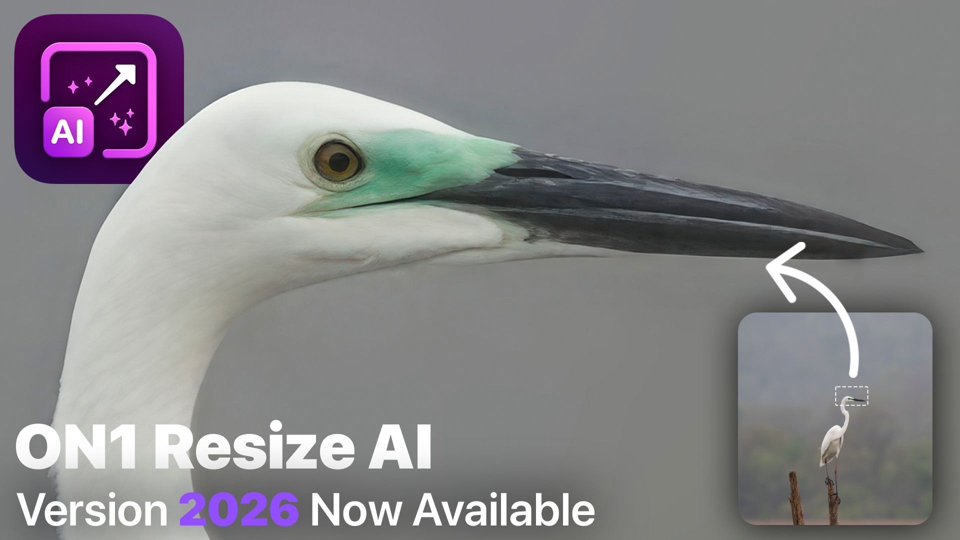 ON1 Resize AI 2026 For Windows v20.0.0 Best Photo Enlargement Software Download ON1 Resize AI 2026 Full Version for Windows