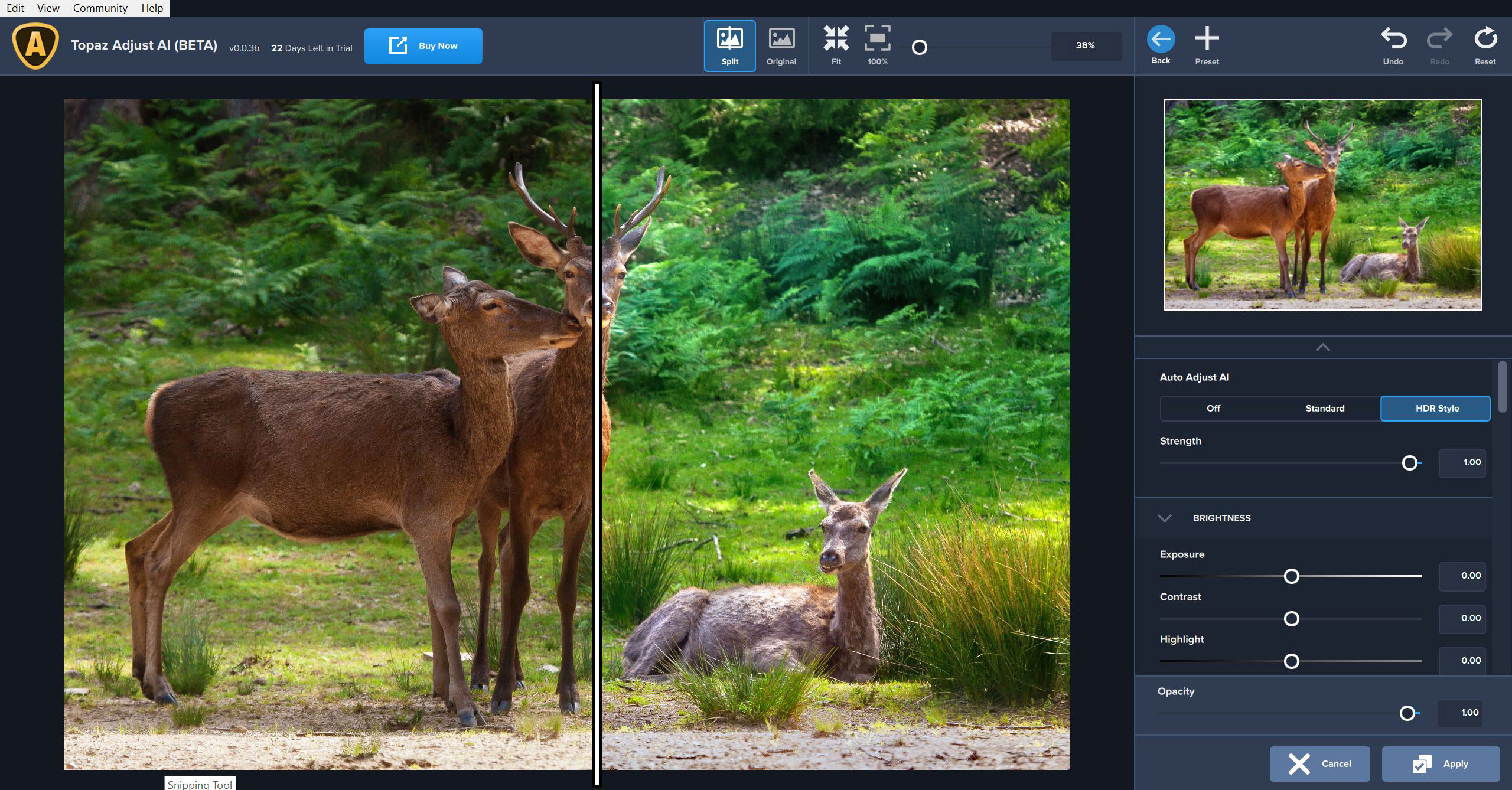 Topaz Adjust AI For Windows v1.0.6 Best AI Photo Editor and Photo Enhancement Software Download Topaz Adjust AI for Windows Free