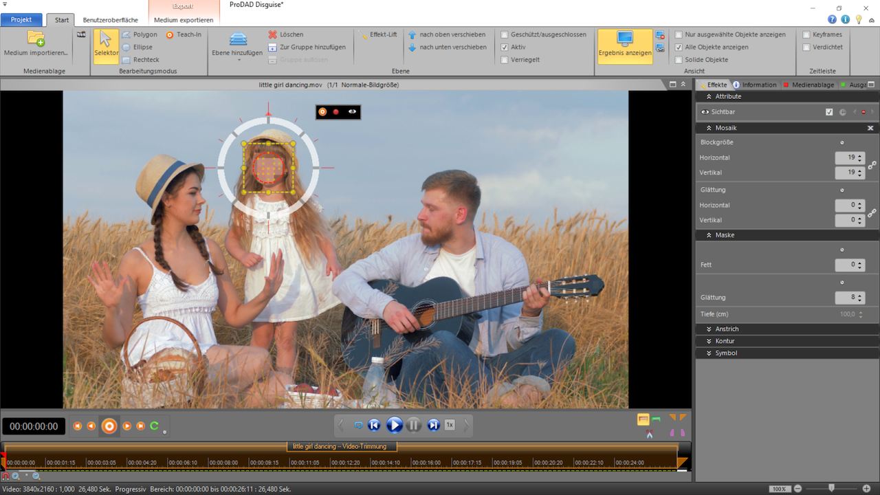 proDAD Disguise For Windows v2.0.215.1 Repack Best Video Privacy Software