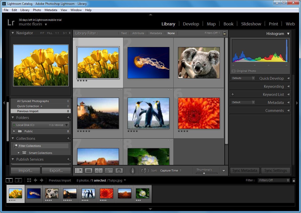 Adobe Creative Cloud For Photography Enthusiasts, Adobe Lightroom For Professional Photo Editing, Adobe Lightroom Free Trial For New Users, Adobe Lightroom Installer For Windows Systems, Adobe Photoshop Lightroom Classic For Photographers, Affinity Photo For Cost-effective Photo Editing, Batch Photo Editing Software For Efficient Workflows, Best Photo Editing Software For Windows Users, Best Raw Editor For Windows Photographers, Capture One For Professional Raw Editing, Color Grading Software For Windows Editing, Corel Paintshop Pro For Budget-friendly Editing, Darkroom Software For Windows Photography Workflows, Digital Photography Software For Creative Professionals, Download Lightroom For Pc With Easy Installation, Dxo Photolab For Advanced Photo Processing, Free Photo Editing Software For Windows Users, Gimp For Windows For Open-source Editing, Image Management Software For Digital Workflows, Image Processing Software For High-quality Results, Lightroom Alternatives For Windows Photo Editing, Lightroom Cc For Cloud-based Photo Editing, Lightroom Classic For Advanced Image Management, Lightroom Download For Windows Operating Systems, Luminar Neo For Ai-powered Photo Enhancement, Non-destructive Photo Editing For Flexible Workflows, On1 Photo Raw For Versatile Photo Editing, Photo Catalog Software For Organized Libraries, Photo Editing Software For Professional Photographers, Photo Editing Tools For Windows Professionals, Photo Enhancement Software For Stunning Visuals, Photo Organization Software For Streamlined Workflows, Photo Retouching Software For Professional Results, Photo Workflow Software For Efficient Editing, Photopea For Browser-based Photo Editing, Professional Photo Editing For Creative Projects, Raw Photo Editor For High-quality Images, Windows Photo Editor For Advanced Editing, Windows Photography Software For Creative Editing