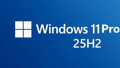 Download Windows 11 Pro 25H2 ISO Full Version