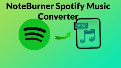 Download NoteBurner Spotify Music Converter For Windows